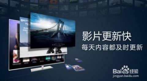 网络广告的技巧与策略 从精准投放到效果优化