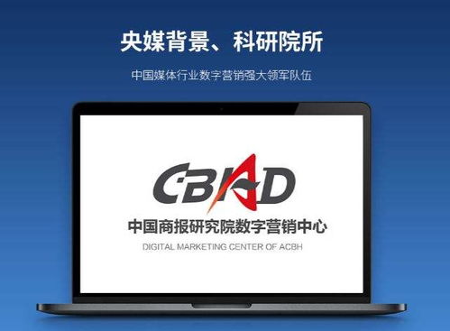 酱香型白酒核心产区品牌的网络广告策略探析